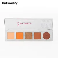 High Grade Pigment 9 Colors Silver Palette